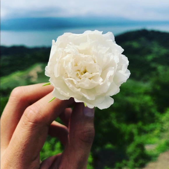 Meet your Posher, Gil - Picture 2 of 2